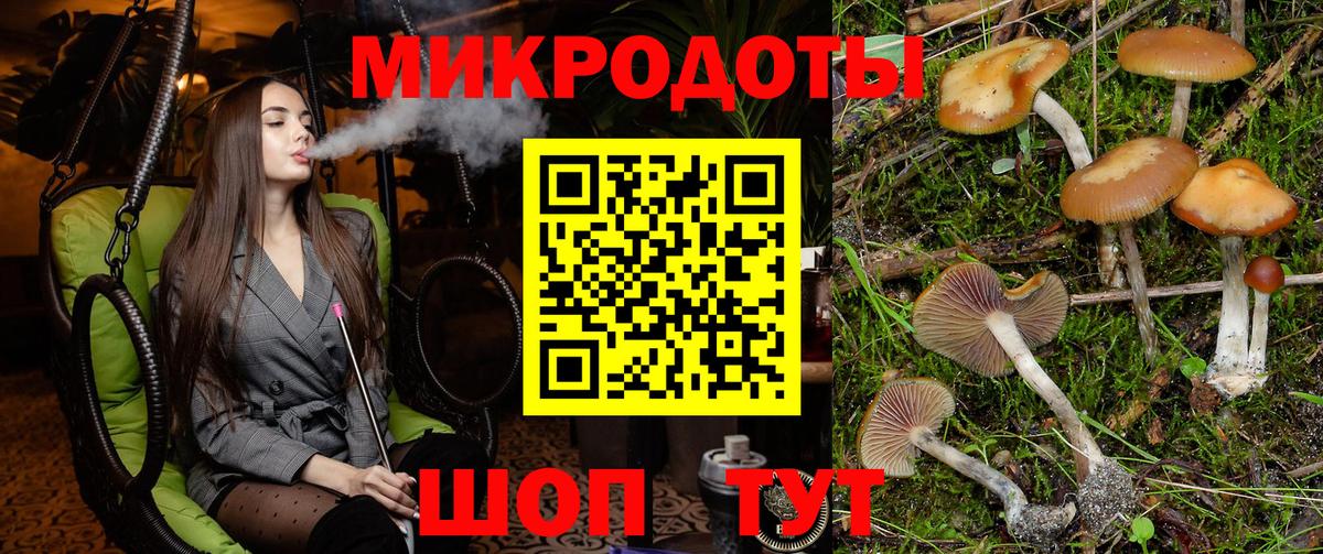 Галлюциногенные грибы мицелий  цены наркотик  Галлюциногенные грибы Psilocybine cubensis  Ленинск-Кузнецкий  Вход с VPN 