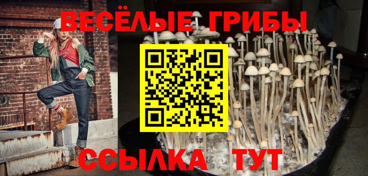 Галлюциногенные грибы Cubensis Ленинск-Кузнецкий